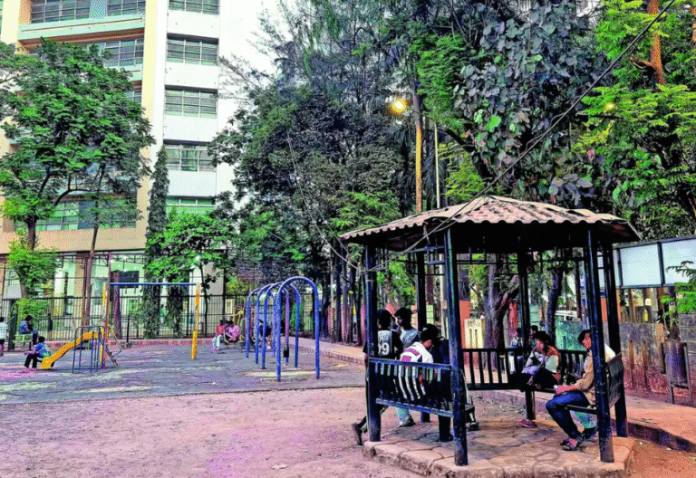 Experts caution against monoculture as BMC plans bamboo plantations to fight pollution