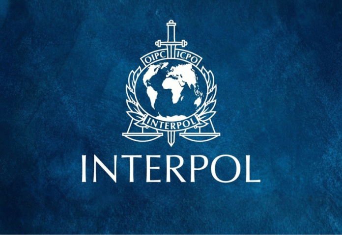 Interpol flags rising AI-driven fraud as global threat intensifies Interpol flags rising AI-driven fraud as global threat intensifies