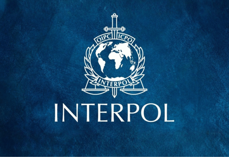 Interpol flags rising AI-driven fraud as global threat intensifies