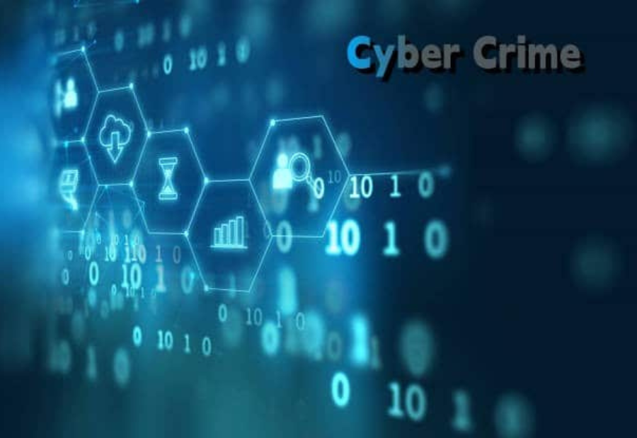 Goa sees sharp rise in cybercrime cases with 65% jump in 2025