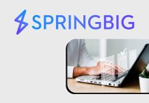 Springbig launches AI audience builder to transform precision marketing Springbig introduces AI-driven audience segmentation for smarter marketing campaigns