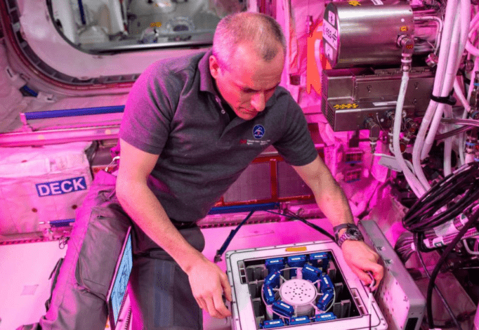 Fungus-powered biomining in space opens new path for sustainable resource extraction