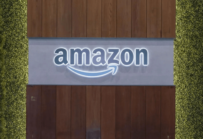 Amazon pushes rapid delivery push in India, expands Now service to 100 cities