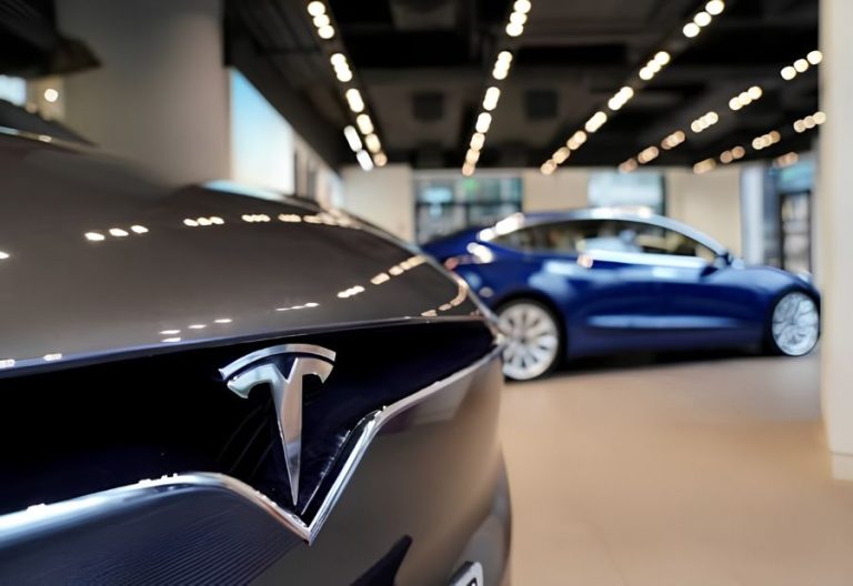 Dutch authorities report 24 million km driven by Tesla FSD users with no serious incidents recorded