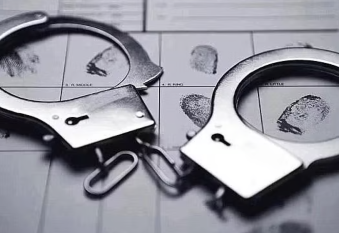 Fake sports certificate racket busted in Rajasthan teacher recruitment probe Fake sports certificate racket busted in Rajasthan teacher recruitment probe