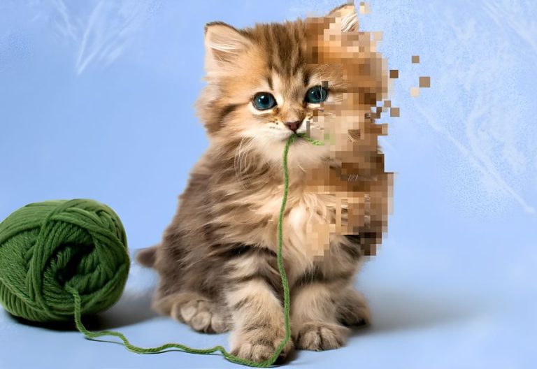 AI-generated animal videos are making people question what they see online. Credit: BBC
