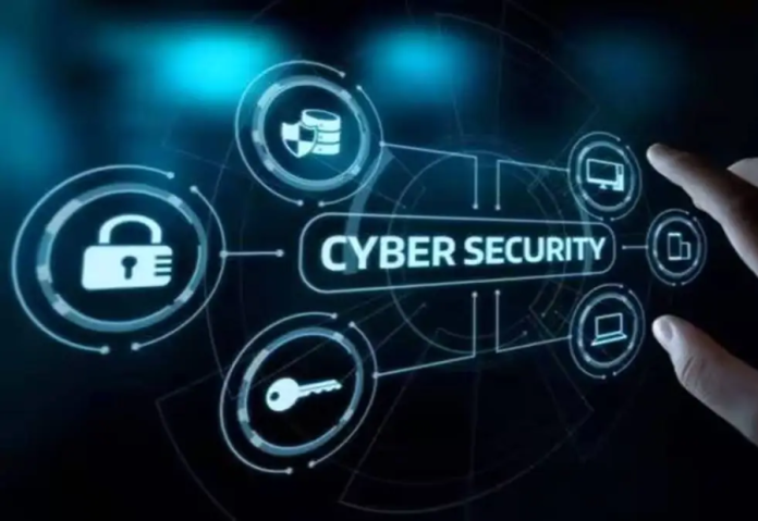 Bengaluru sees sharp rise in investment scams as cybercrime patterns shift Bengaluru sees sharp rise in investment scams as cybercrime patterns shift