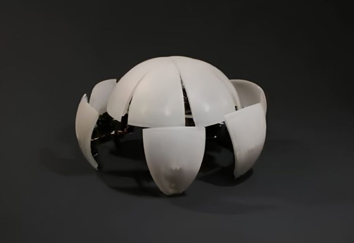 Norwegian inventor creates a shape-shifting robot that walks and rolls Norwegian inventor creates a shape-shifting robot that walks and rolls