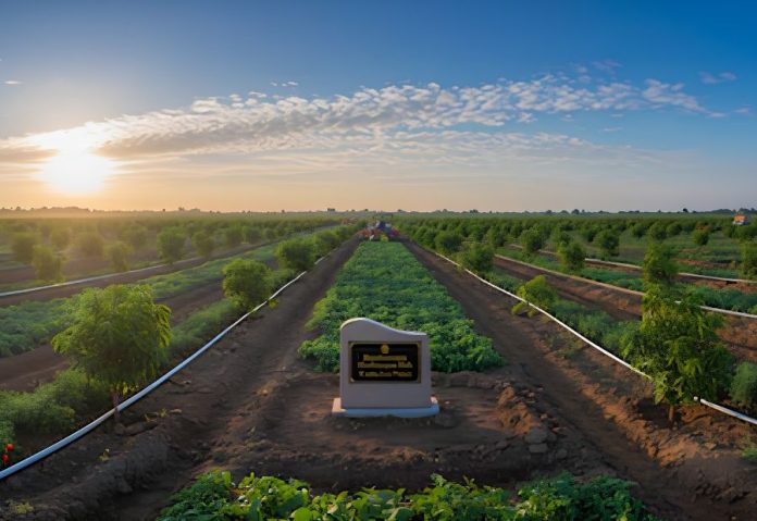 Naidu and Sitharaman to lay foundation for Rs 1 lakh crore Rayalaseema Horticulture Hub Credit: CNBC TV18 Naidu and Sitharaman to lay foundation for Rs 1 lakh crore Rayalaseema Horticulture Hub Credit: CNBC TV18