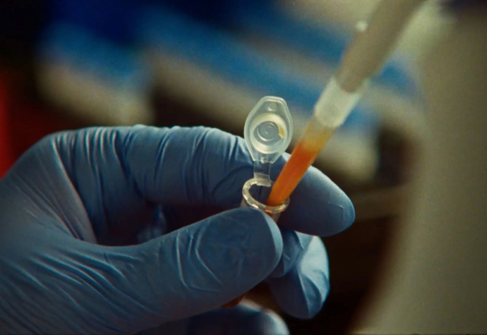 Claude AI uncovers enzyme system with CRISPR-like DNA patterns Claude AI uncovers enzyme system with CRISPR-like DNA patterns