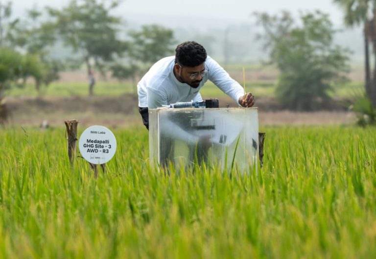 Google backs Indian climate-tech startup to cut methane from rice farming Credit: Tech Crunch