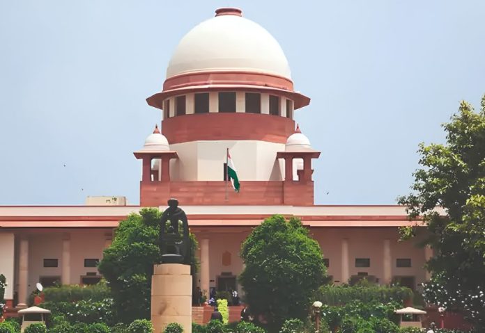 SC Calls for Compensation to Digital Fraud Victims SC Calls for Compensation to Digital Fraud Victims